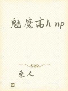 魅魔高h np