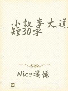 小故事大道理简短30字