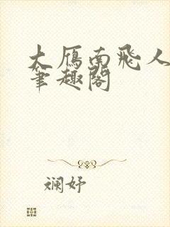 大雁南飞人不归笔趣阁