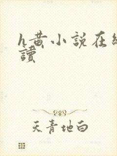 h黄小说在线阅读