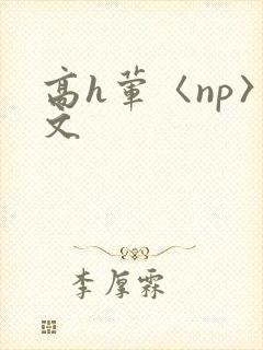 高h荤〈np〉文