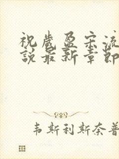 祝岁盈宋流景小说最新章节更新内容