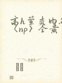 高h荤爽肉欲文〈np〉全黄封面