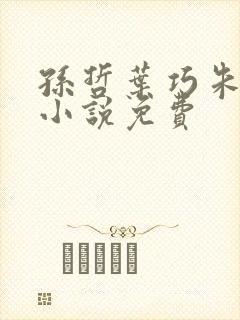 孙哲叶巧朱颜的小说免费