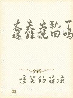 丈夫出轨了妻子还能挽回吗封面