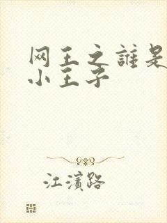 网王之谁是我的小王子封面