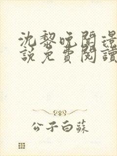 沈黎晚闻璟川小说免费阅读最新章节