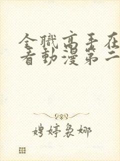 全职高手在线观看动漫第二季