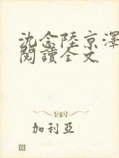 沈念陆京泽免费阅读全文