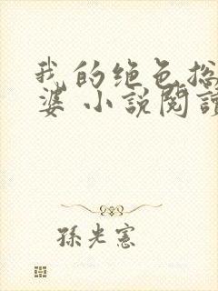 我的绝色总裁老婆 小说阅读