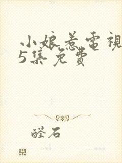 小娘惹电视剧45集免费