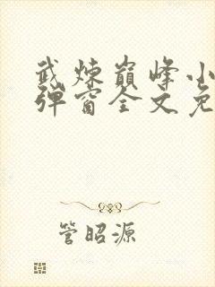 武炼巅峰小说无弹窗全文免费阅读封面