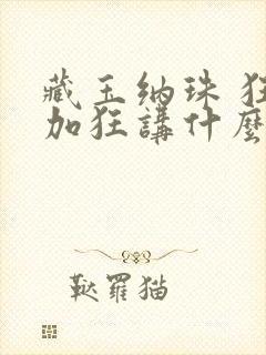 藏玉纳珠 狂上加狂讲什么