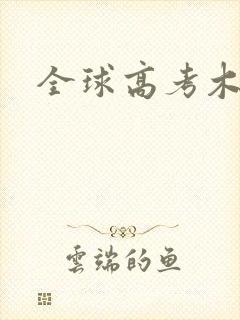 全球高考木苏里封面
