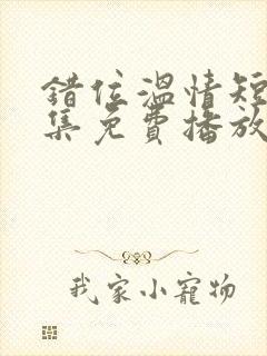 错位温情短剧全集免费播放