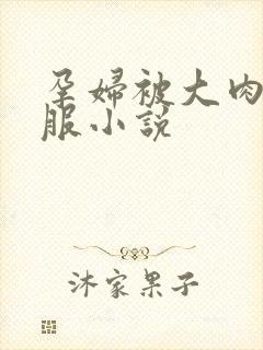 孕妇被大肉楱征服小说封面