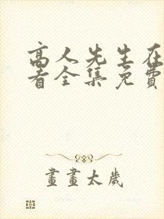 高人先生在线观看全集免费第一季