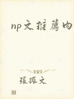 np文推荐肉多