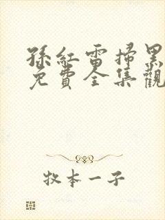 孙红雷扫黑风暴免费全集观看