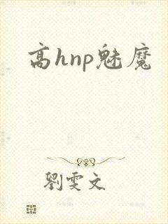 高hnp魅魔