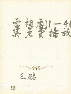 电视剧1—40集免费播放