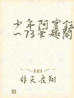 少年阿宾钰慧1～73笔趣阁下载