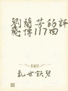 刘兰芳的评书岳飞传117回