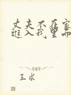 丈夫不在家时,进入我里面日本电影封面