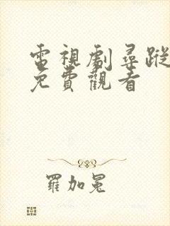 电视剧寻踪觅影免费观看