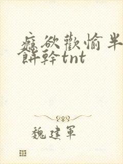 瘾欲欢愉半块小饼干tnt