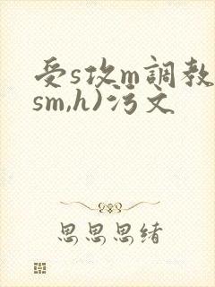 受s攻m调教(sm,h)污文