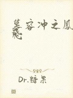 慕容冲之凤凰于飞