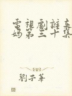 电视剧谁来伺候妈第三十集