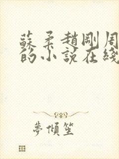 苏柔赵刚周明权的小说在线阅读全文最新