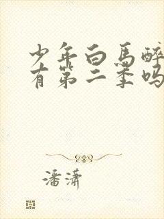 少年白马醉春风有第二季吗