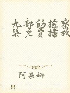 九部的检察官全集免费播放在线观看