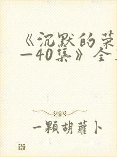 《沉默的荣耀1—40集》全集免费观看