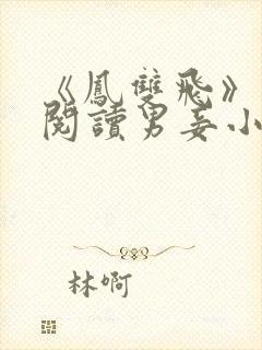 《凤双飞》在线阅读男妾小说