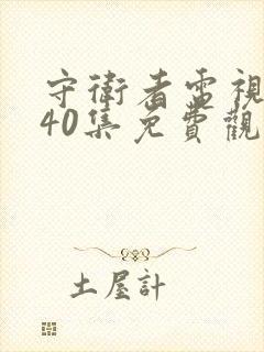 守卫者电视剧全40集免费观看