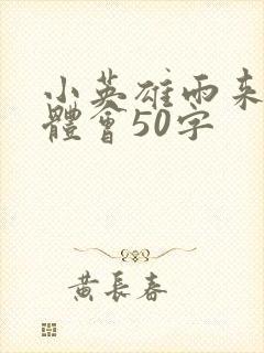 小英雄雨来心得体会50字封面