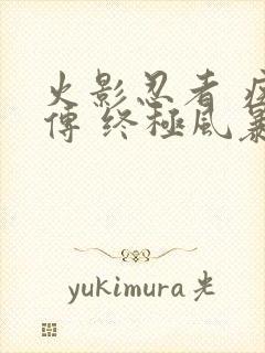 火影忍者 疾风传 终极风暴4