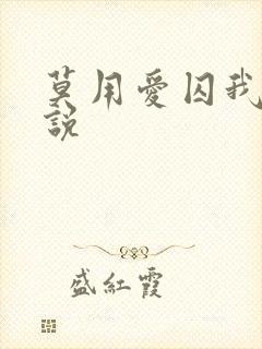 莫用爱囚我的小说