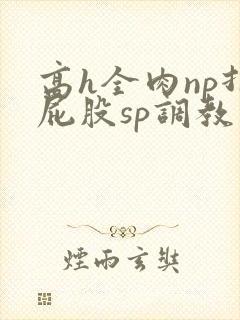 高h全肉np打屁股sp调教封面