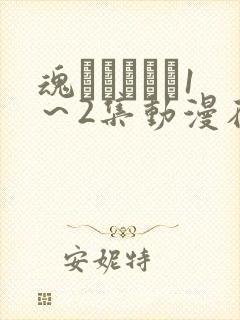 魂インサート1～2集动漫在线观看到
