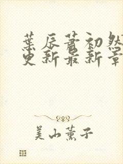 叶辰萧初然刚刚更新最新章节列表封面