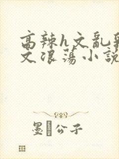 高辣h文乱乳h文浪荡小说苏柔封面