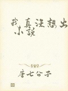 我真没想出名啊 小说