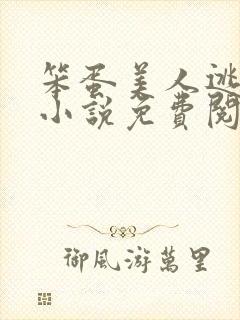 笨蛋美人逃婚后小说免费阅读