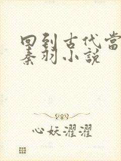 回到古代当帝王秦羽小说封面