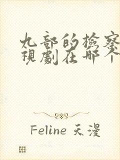 九部的检察官电视剧在哪个台播出